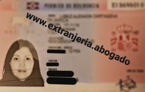 número de identidad de extranjero (nie)